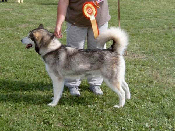 Terra Polar's Noble Jadi ble N Uch sommeren 2005